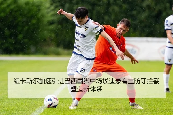 纽卡斯尔加速引进巴西国脚中场埃迪豪看重防守拦截塑造新体系